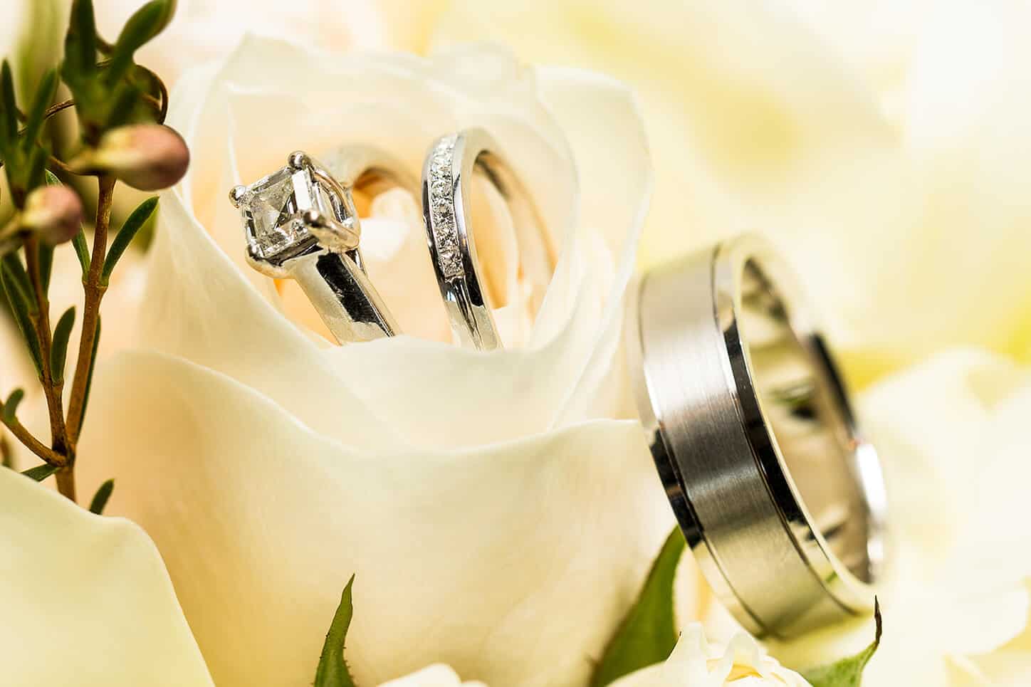 Wedding photograph of wedding rings and band by White House Wedding Photography